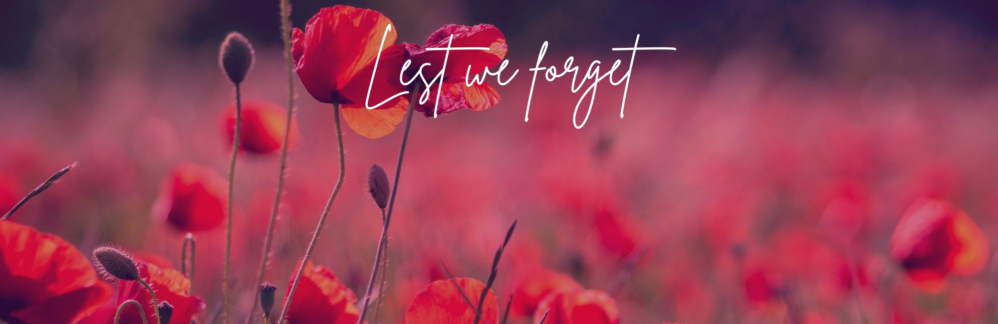 Remembrance Sunday*10th November*full details