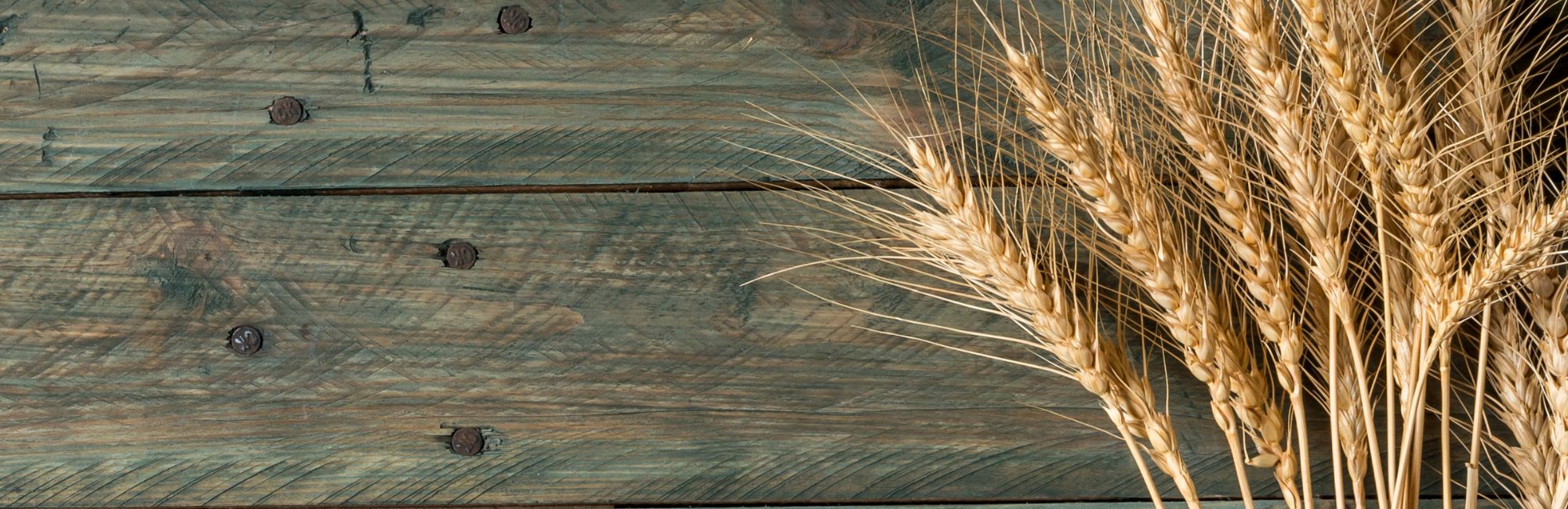 Harvest 4th October*10.30am St Giles followed by lunch at St Andrew's*full details