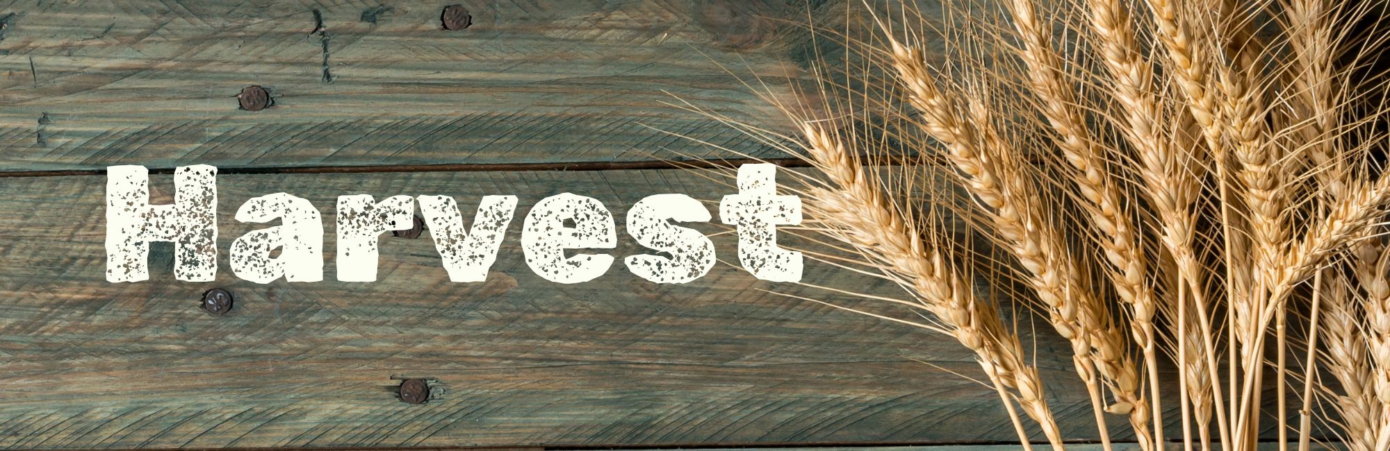 Harvest 2026